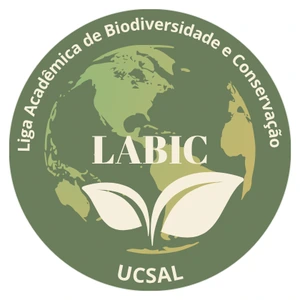 Marca da LABIC